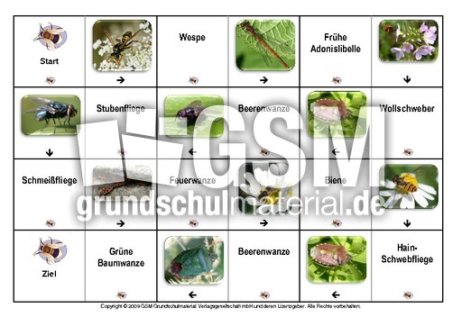 Domino-Insekten-1.pdf